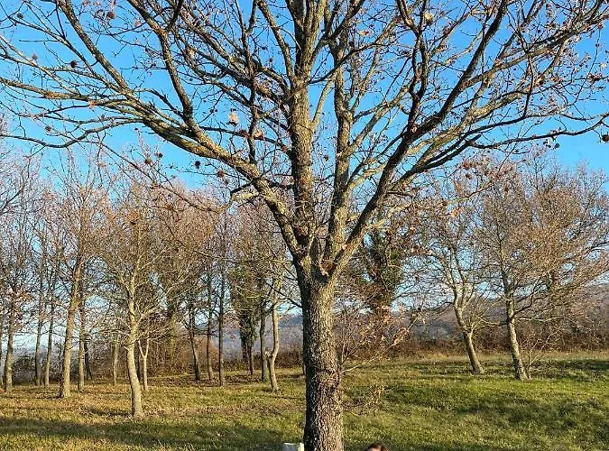 Ballallaluna לינה וארוחת בוקר