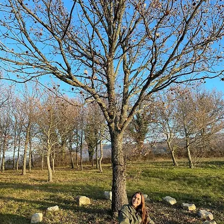 Ballallaluna Bed & Breakfast