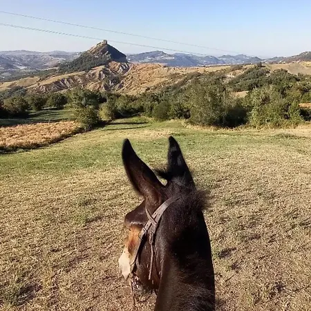 Bed and Breakfast Ballallaluna Maiolo (Rimini)