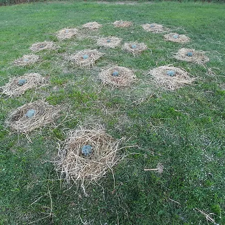 فندق مبيت وإفطار Ballallaluna Maiolo (Rimini)