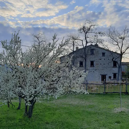 Bed & Breakfast Ballallaluna Maiolo (Rimini)
