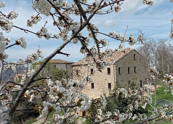 Oda ve Kahvaltı Ballallaluna 3*