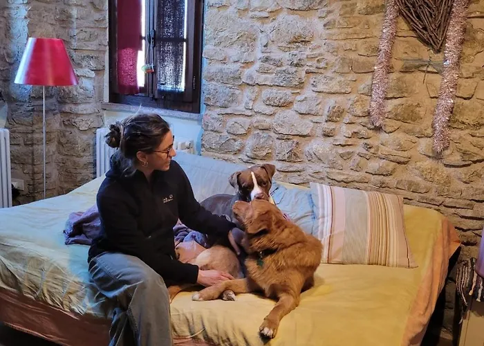 Oda ve Kahvaltı Ballallaluna 3*