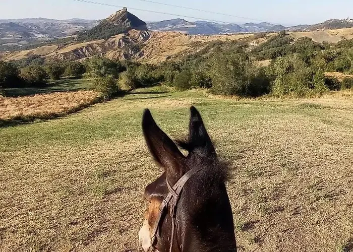 Oda ve Kahvaltı Ballallaluna Maiolo (Rimini)